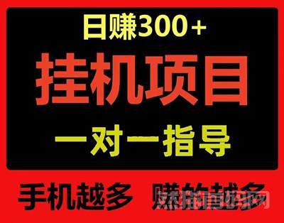 上班族副业，小程序挂机，单号一天300，多号翻倍